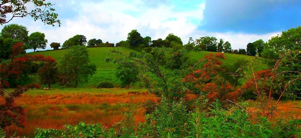 Fortview House Redhills Luaran gambar